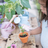 Little Dutch Spand - Fairy Garden