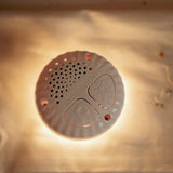 Little Dutch Kramme Gås m. lyd & lys