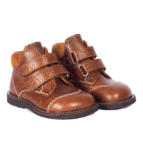 Angulus Begyndersko - Cognac