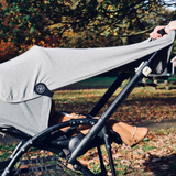 Cloby Reflecting Canvas Clips