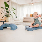 Scoot & Ride My First - Steel