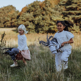 byASTRUP Kæphest, Star - Gråskimmel