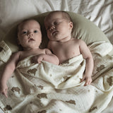 that's mine Moon Ammepude - Desert Sage