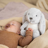 Flow Heartbeat Comforter, Milo - Grey