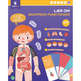 mierEdu Magnetisk Legesæt - Lær om kroppens funktioner