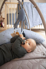 Filibabba Aktivitestlegetøj - Otto the Octopus