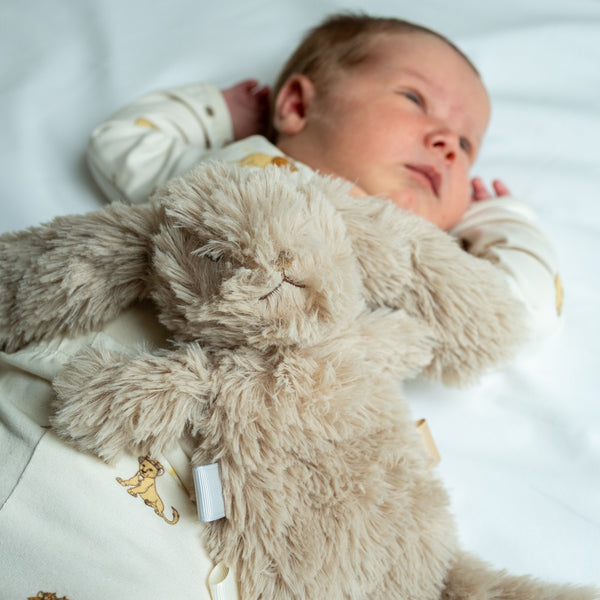 that's mine Houston Heavy Teddy, small - Bunny