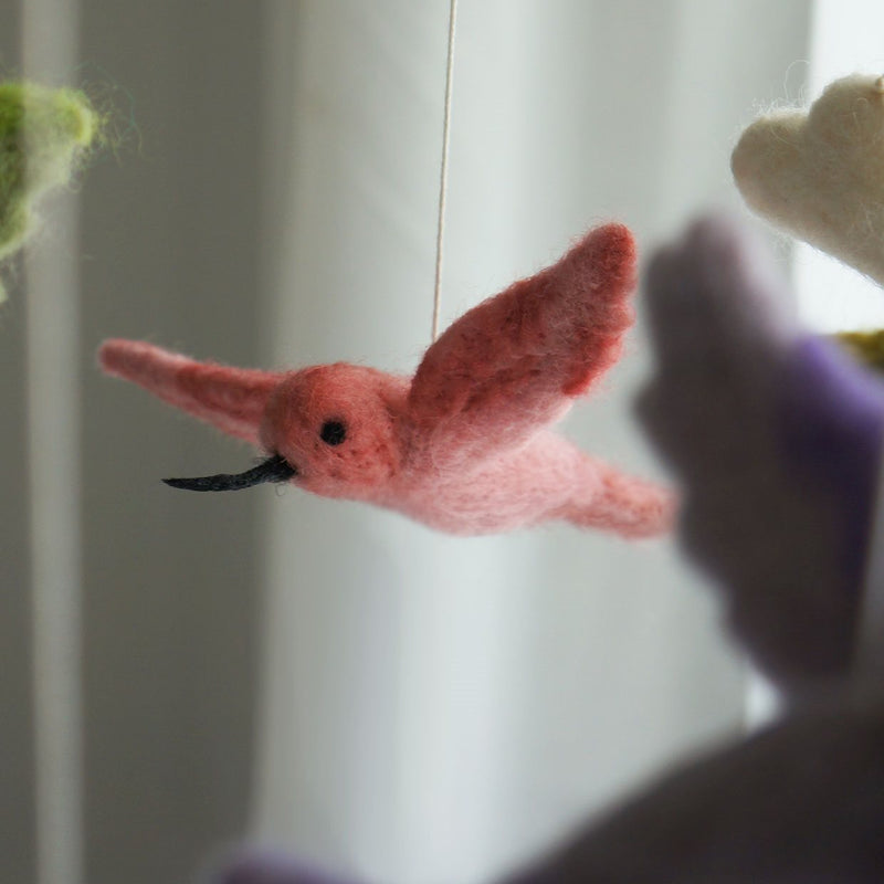 Gamcha Uro - Kolibrier