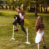 byASTRUP Kæphest, Alicia - Brun