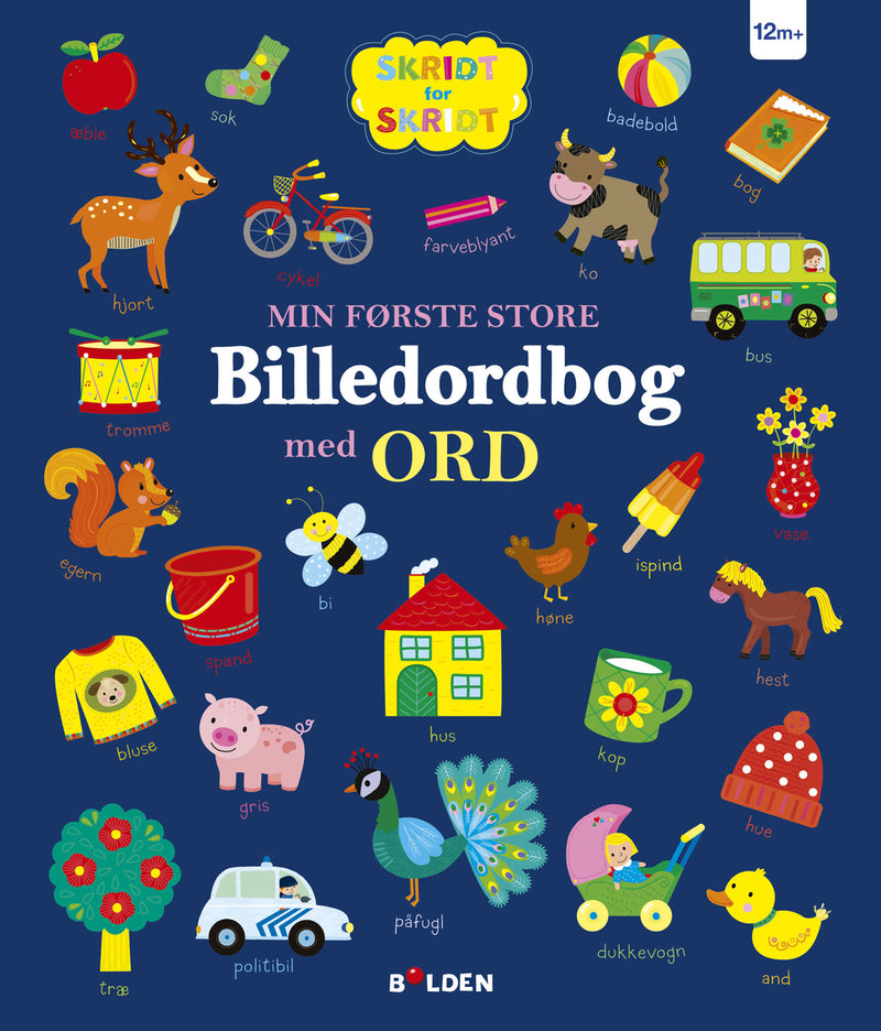Bolden Min første store Billedordbog med ord