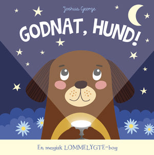 Bolden Godnat Hund! – en magisk lommelygte-bog