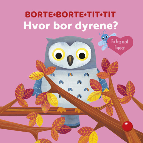 Bolden Borte borte tit tit – Hvor bor dyrene?