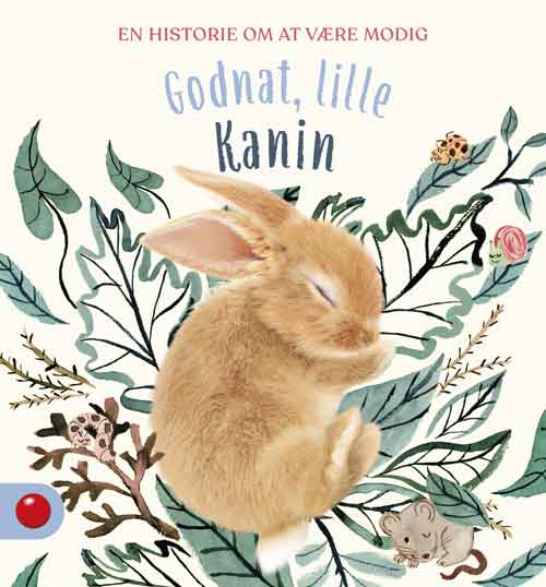 Bolden Godnat lille kanin