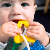 Baby Einstein Bidering - Ocean Explorer Sensory of Seas