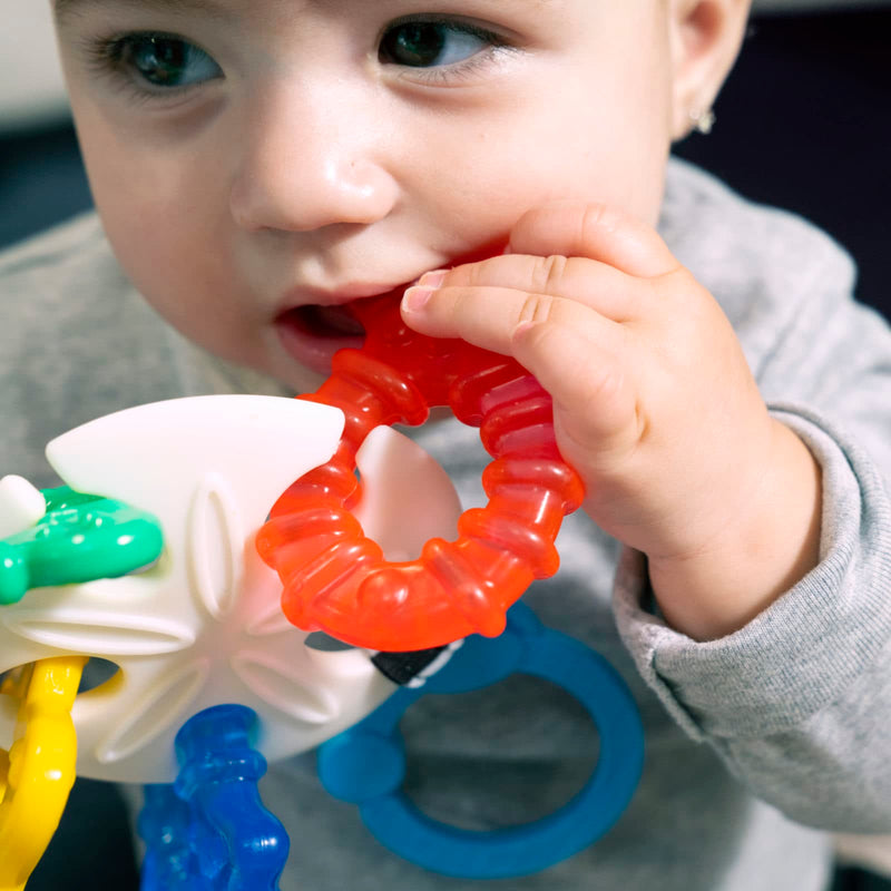 Baby Einstein Bidering - Ocean Explorer Sensory of Seas