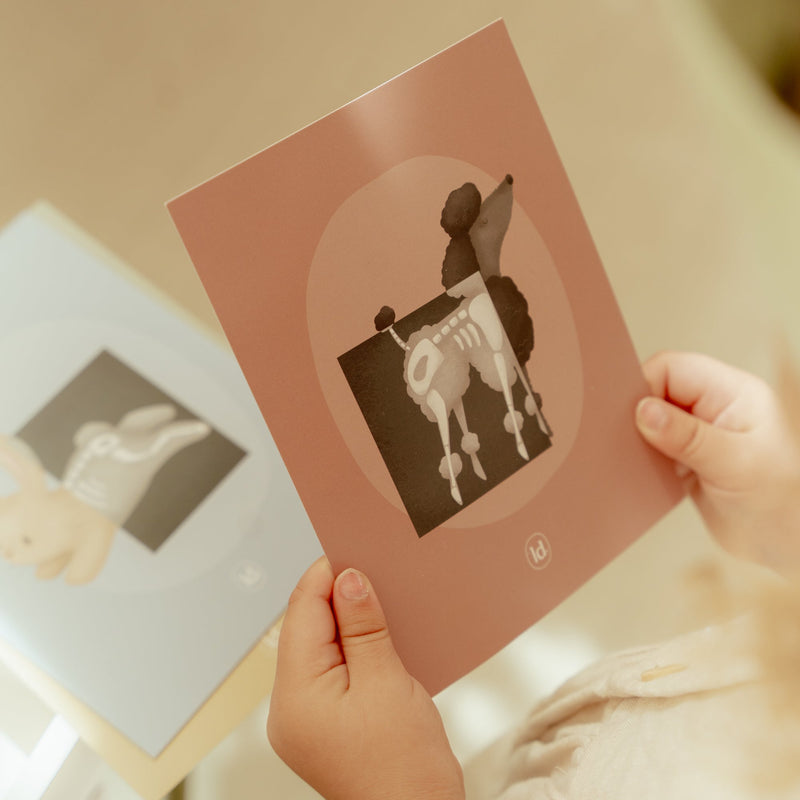 Little Dutch Dyrlæge Klinik