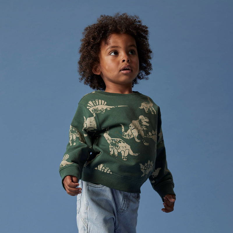 Name It Nilaus Sweatshirt - Garden Topiary