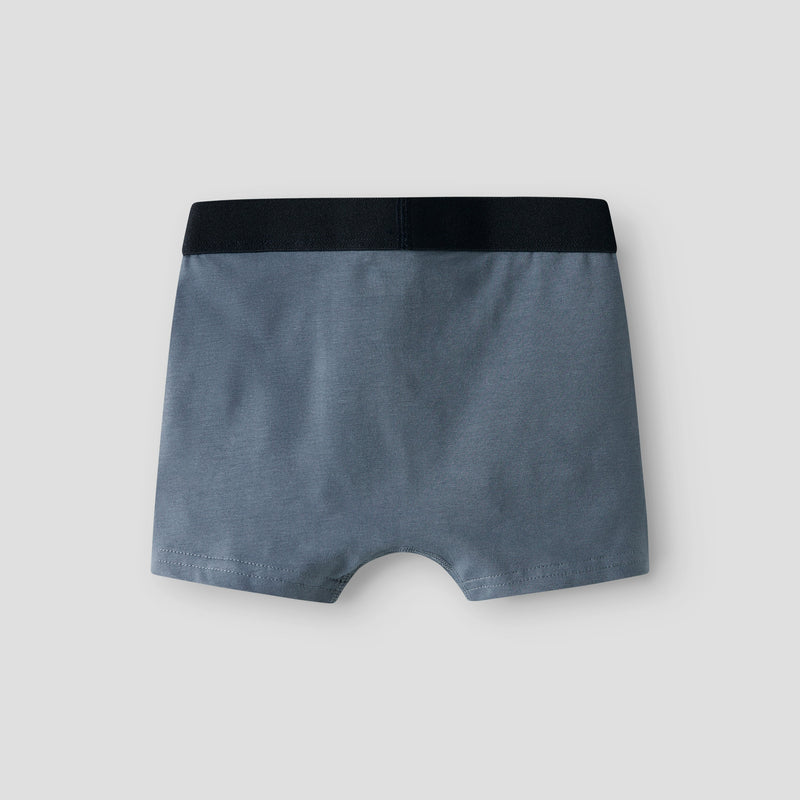 Name It Ovile Spiderman Boxershorts, 2-pak - Navy