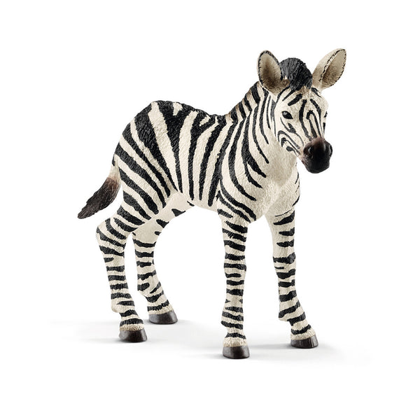 Schleich Zebra Føl