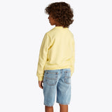 Tommy Hilfiger Modern Straight Shorts - Denim