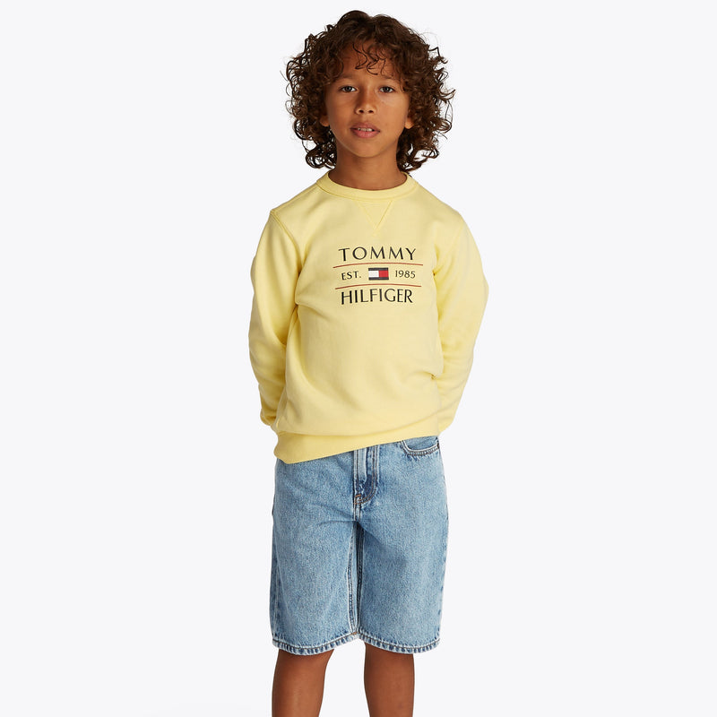 Tommy Hilfiger Modern Straight Shorts - Denim