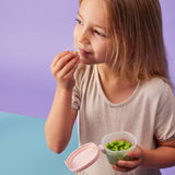 b.box Snack Tubs - Berry Smoothie