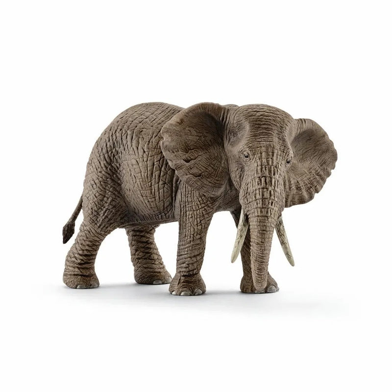 Schleich Afrikansk hun Elefant