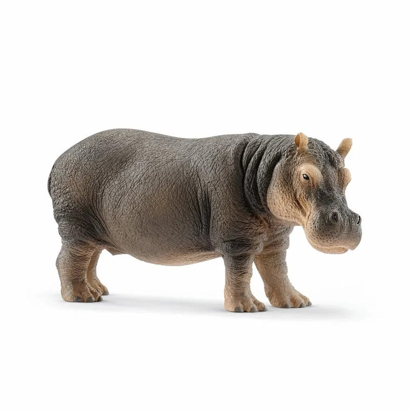 Schleich Flodhest