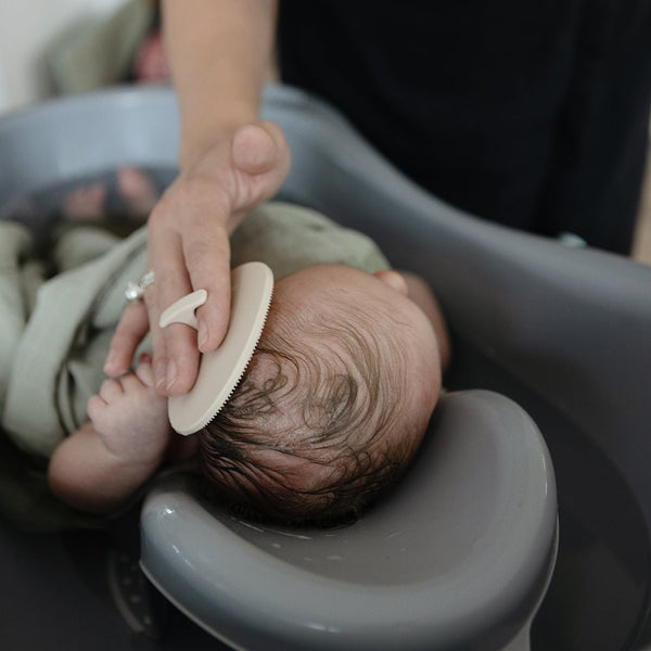 Mushie Cradle Cap Børste, 2 pak - Tradewinds/Periwinkle
