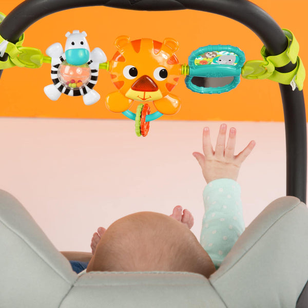 Bright Starts Take Along Carrier Toy